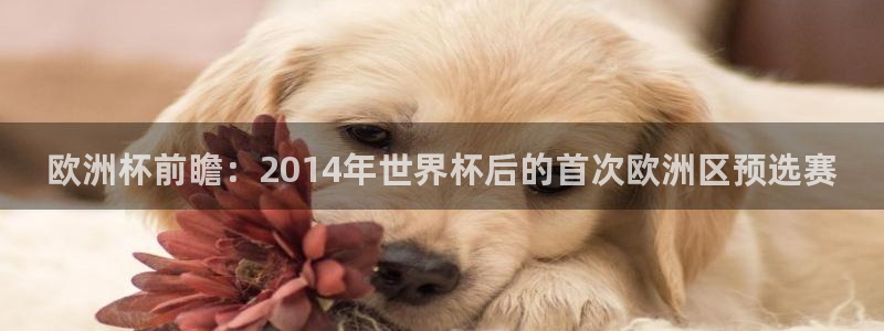 免费看足球直播比赛：欧洲杯前瞻：2014年世界杯后的首次欧洲区预选赛