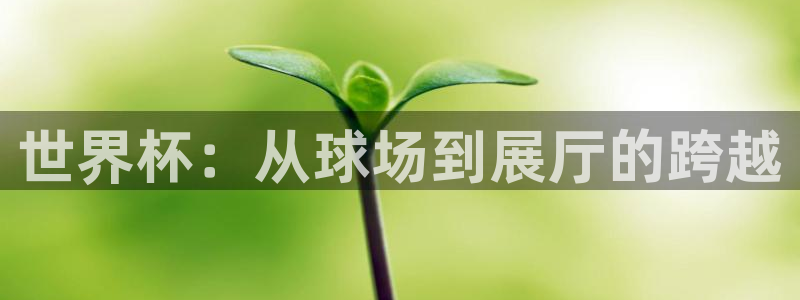 世界杯预选赛赛程：世界杯：从球场到展厅的跨越