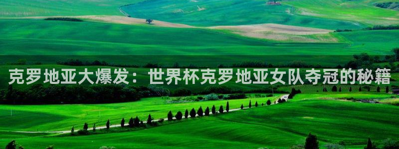 中国 世界杯：克罗地亚大爆发：世界杯克罗地亚女队夺冠的秘籍
