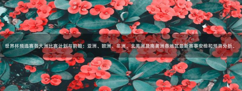 世预赛免费直播入口：世界杯预选赛各大洲比赛计划与前瞻：亚洲、欧洲、非洲、北美洲及南美洲各地区最新赛事安排和预测分析。