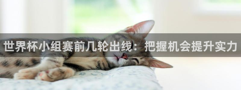 今年世界杯：世界杯小组赛前几轮出线：把握机会提升实力
