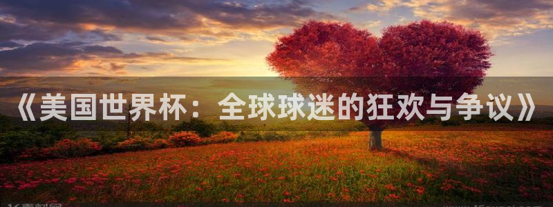 欧洲世界杯预选赛：《美国世界杯：全球球迷的狂欢与争议》