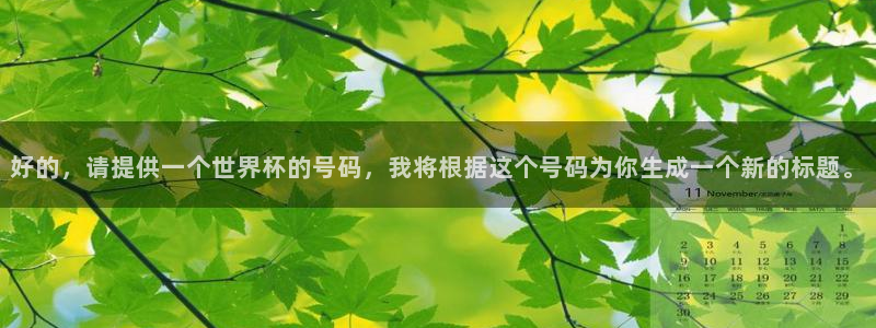 2026足球世界杯赛程时间表：好的，请提供一个世界杯的号码，我将根据这个号码为你生成一个新的标题。