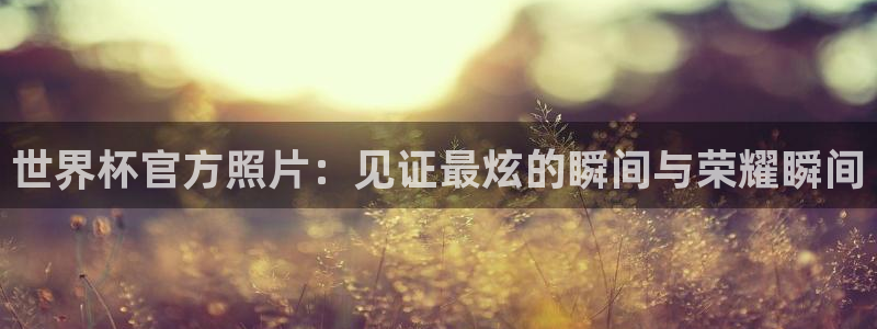 免费看足球直播比赛：世界杯官方照片：见证最炫的瞬间与荣耀瞬间