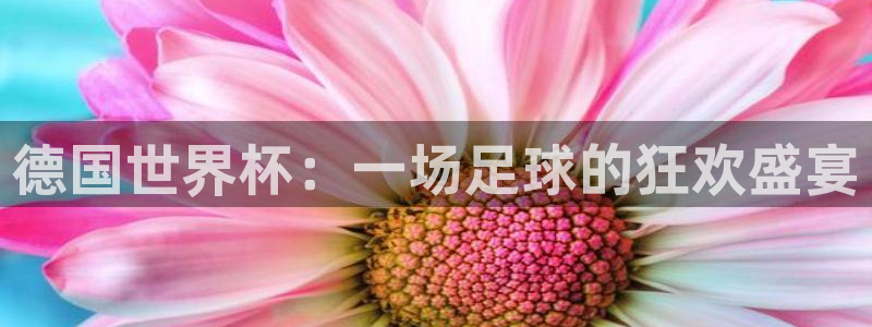 世预赛免费直播入口：德国世界杯：一场足球的狂欢盛宴