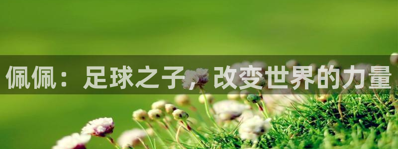 2026年男足世界杯：佩佩：足球之子，改变世界的力量