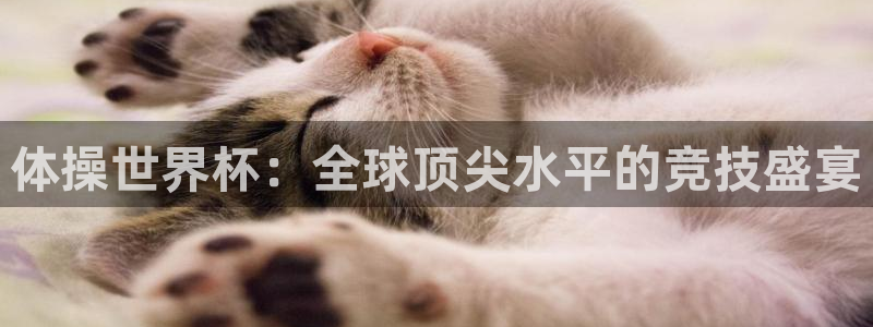 今天所有足球赛程表：体操世界杯：全球顶尖水平的竞技盛宴