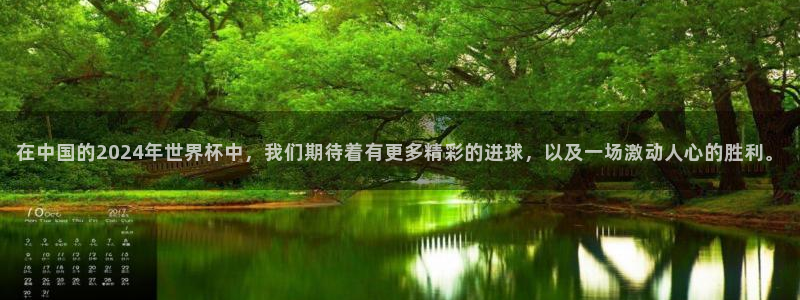 美洲杯直播：在中国的2024年世界杯中，我们期待着有更多精彩的进球，以及一场激动人心的胜利。