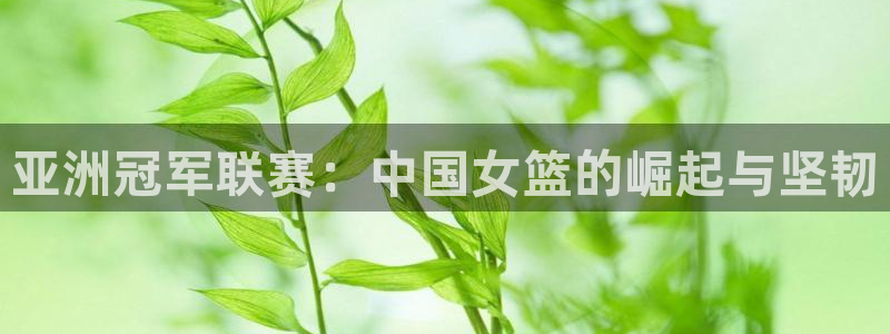 世界杯女足直播：亚洲冠军联赛：中国女篮的崛起与坚韧