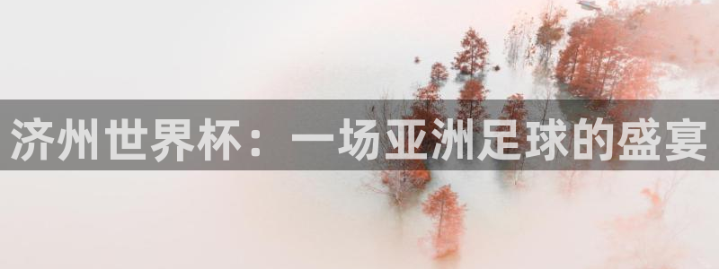 足球世界杯预选赛：济州世界杯：一场亚洲足球的盛宴