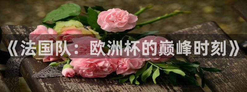 世预赛欧洲赛程表：《法国队：欧洲杯的巅峰时刻》