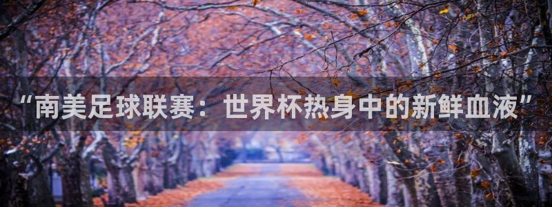 2006世界杯：“南美足球联赛：世界杯热身中的新鲜血液”